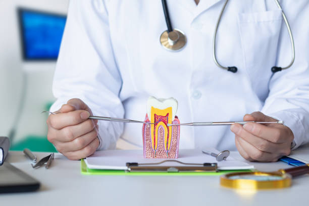 Best Broken or Chipped Tooth Repair in Hopkins, MN